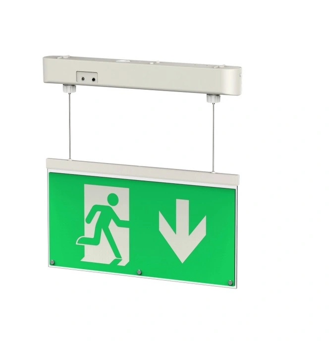 Emergency exit light DP 939 LED