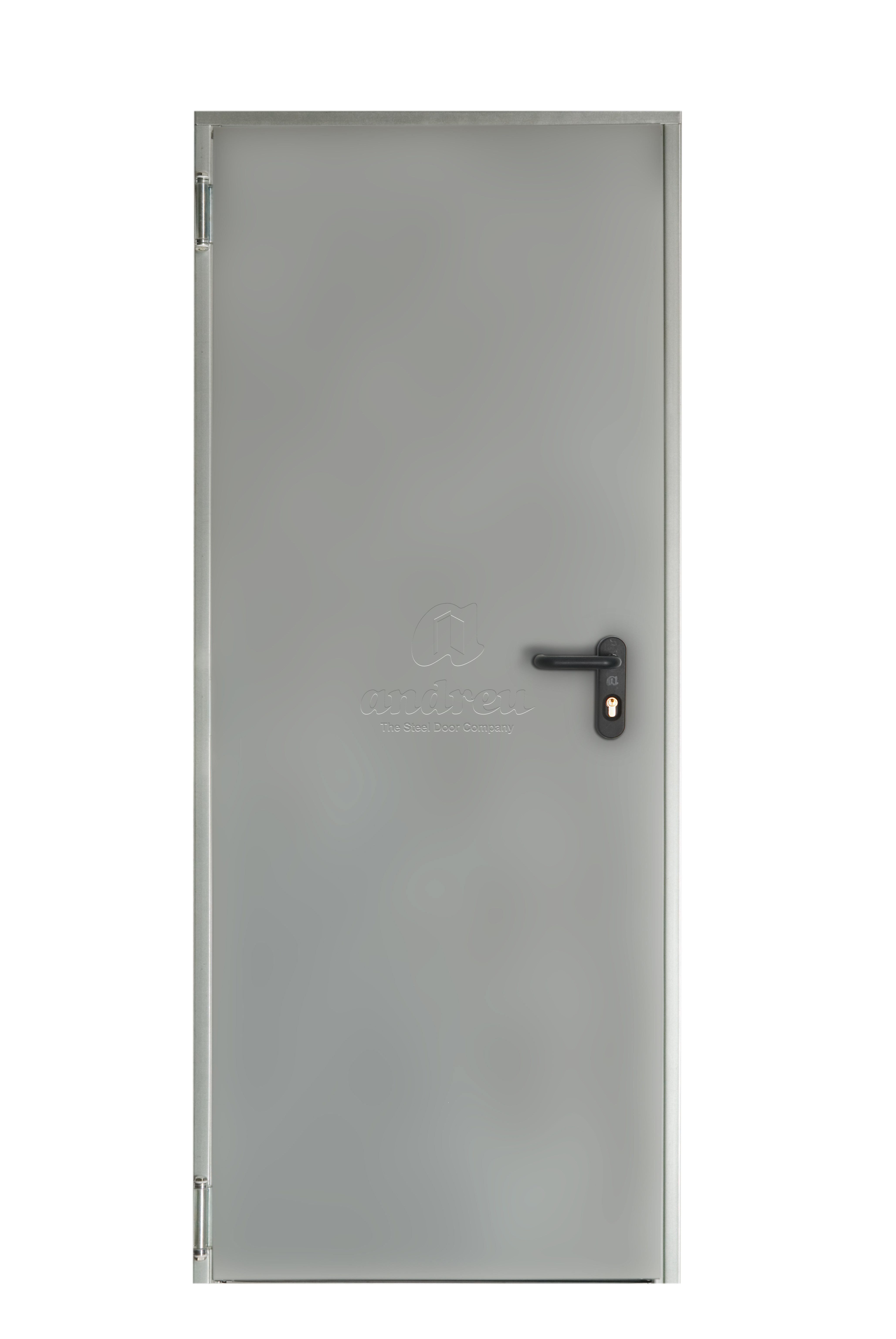 DELTA EI 60 metal fire door 1000 × 2050 mm (galvanised finish)
